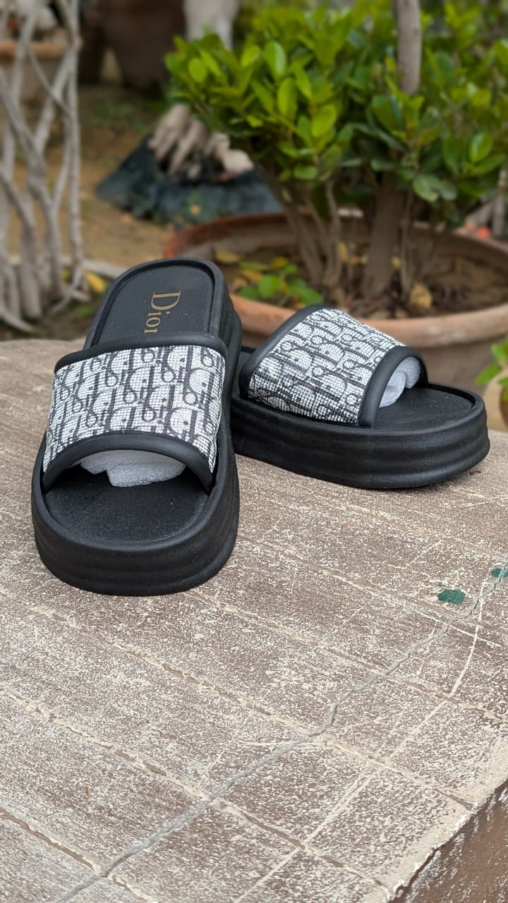 Dior WEG Slippers