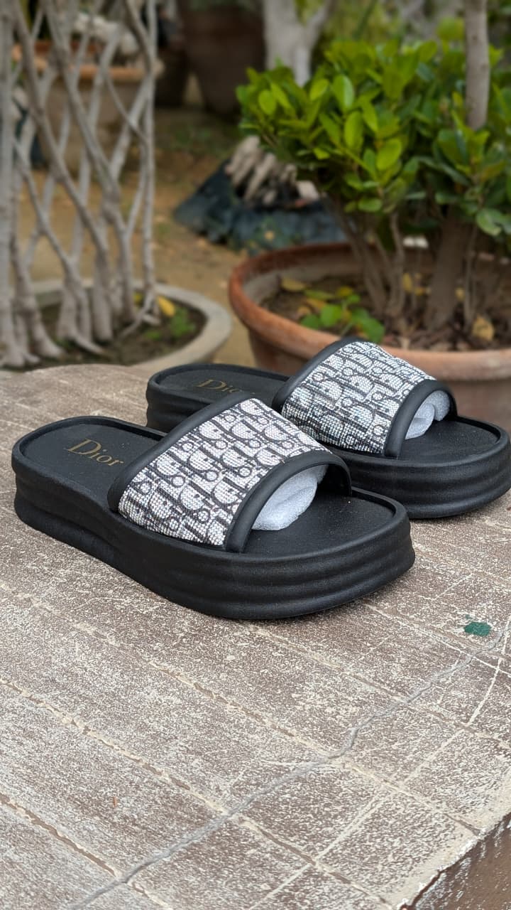 Dior WEG Slippers