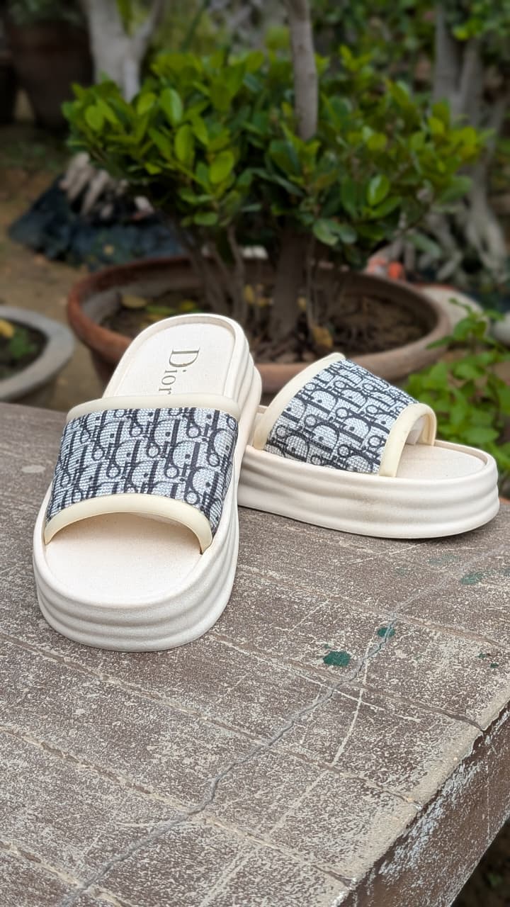 Dior WEG Slippers